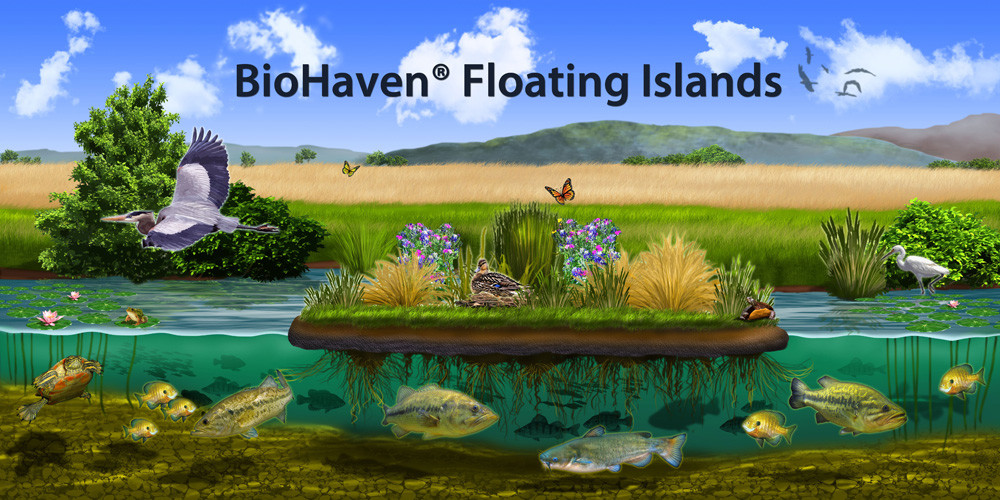 BioHaven copy with title smaller