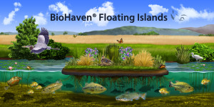 BioHaven Floating Island habitat digital image