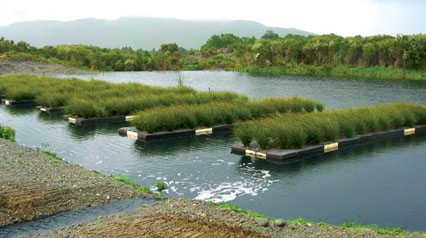 Demonstrating Treatment Of Landfill Leachate Using Floating Treatment Wetland Technology