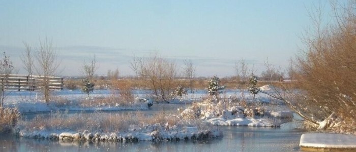 Floating island during the winter time - biohaven floating island cost