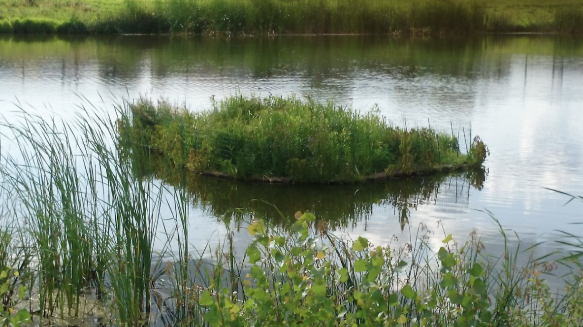 Floating island with dense vegetation in a lake, exemplifying sustainable water treatment and habitat enhancement in aquatic ecosystems.