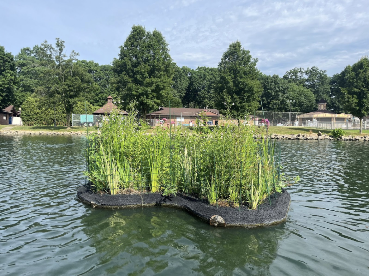 Floating island with diverse wetland plants anchored in a pond, demonstrating sustainable habitat creation and water quality enhancement.