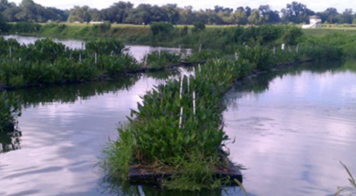 Floating island with vegetation installed in a water body near a government facility, highlighting its role in ecological restoration and water management.