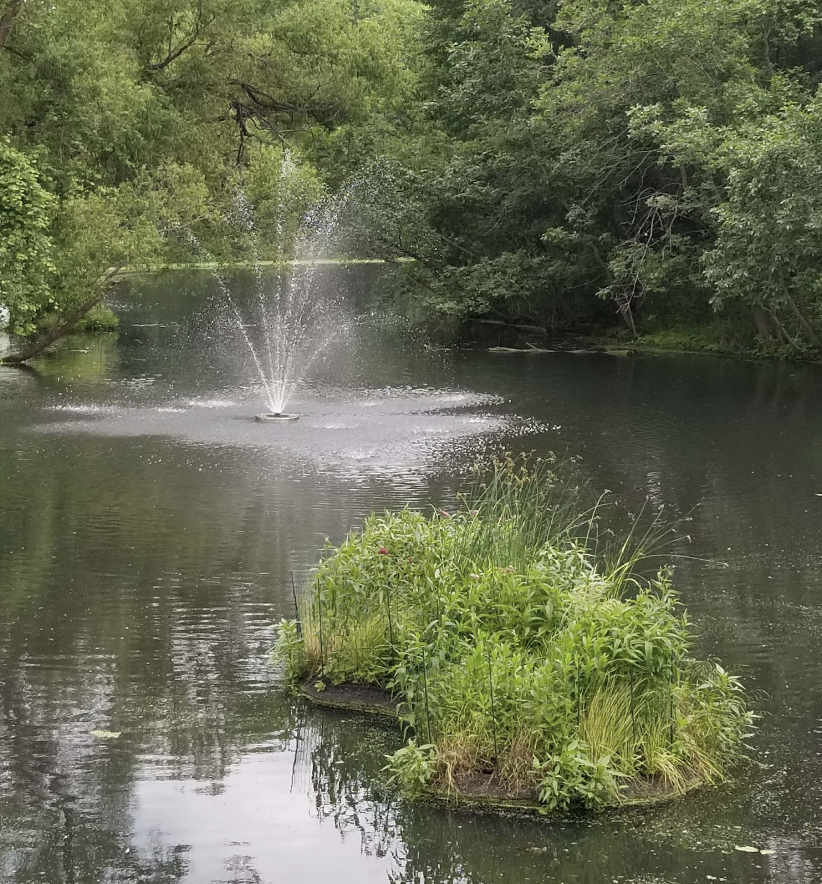 Midwest Floating Island with lush greenery floating on a pond, showcasing innovative ecological design for water purification and wildlife habitat creation.